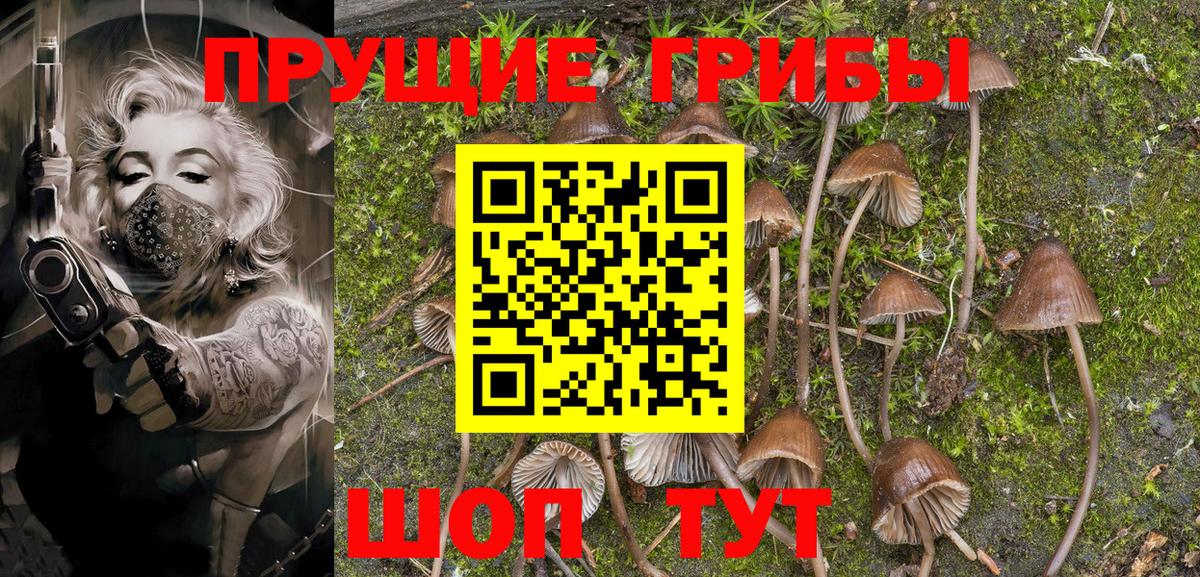 Саратов  Псилоцибиновые грибы Magic Shrooms  Вход с VPN 